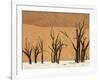 Dead Trees, Deadvlei, Sossusvlei, Namib Naukluft Park, Namib Desert, Namibia, Africa-Sergio Pitamitz-Framed Photographic Print