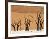 Dead Trees, Deadvlei, Sossusvlei, Namib Naukluft Park, Namib Desert, Namibia, Africa-Sergio Pitamitz-Framed Photographic Print