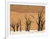 Dead Trees, Deadvlei, Sossusvlei, Namib Naukluft Park, Namib Desert, Namibia, Africa-Sergio Pitamitz-Framed Photographic Print