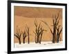 Dead Trees, Deadvlei, Sossusvlei, Namib Naukluft Park, Namib Desert, Namibia, Africa-Sergio Pitamitz-Framed Photographic Print