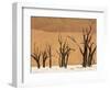 Dead Trees, Deadvlei, Sossusvlei, Namib Naukluft Park, Namib Desert, Namibia, Africa-Sergio Pitamitz-Framed Photographic Print