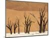 Dead Trees, Deadvlei, Sossusvlei, Namib Naukluft Park, Namib Desert, Namibia, Africa-Sergio Pitamitz-Mounted Photographic Print