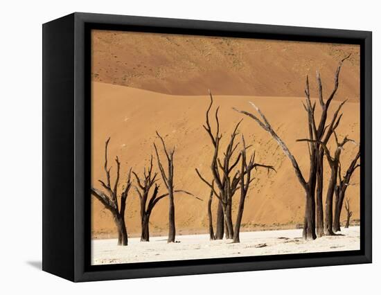 Dead Trees, Deadvlei, Sossusvlei, Namib Naukluft Park, Namib Desert, Namibia, Africa-Sergio Pitamitz-Framed Stretched Canvas