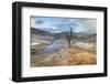 Dead trees entombed in travertine deposits colored by thermophilic bacteria.-Alan Majchrowicz-Framed Photographic Print