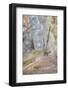 Dead trees entombed in travertine deposits, Mammoth Hot Springs, Yellowstone National Park.-Alan Majchrowicz-Framed Photographic Print