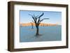 Dead trees in a desert, Dead Vlei, Sossusvlei, Namib Desert, Namib-Naukluft National Park, Namibia-null-Framed Photographic Print