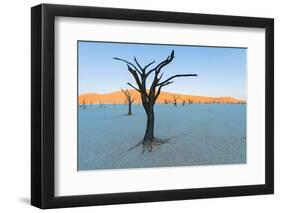 Dead trees in a desert, Dead Vlei, Sossusvlei, Namib Desert, Namib-Naukluft National Park, Namibia-null-Framed Photographic Print