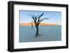 Dead trees in a desert, Dead Vlei, Sossusvlei, Namib Desert, Namib-Naukluft National Park, Namibia-null-Framed Photographic Print