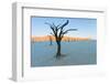 Dead trees in a desert, Dead Vlei, Sossusvlei, Namib Desert, Namib-Naukluft National Park, Namibia-null-Framed Photographic Print