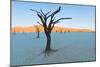 Dead trees in a desert, Dead Vlei, Sossusvlei, Namib Desert, Namib-Naukluft National Park, Namibia-null-Mounted Photographic Print