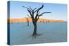 Dead trees in a desert, Dead Vlei, Sossusvlei, Namib Desert, Namib-Naukluft National Park, Namibia-null-Stretched Canvas