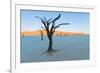 Dead trees in a desert, Dead Vlei, Sossusvlei, Namib Desert, Namib-Naukluft National Park, Namibia-null-Framed Photographic Print