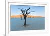 Dead trees in a desert, Dead Vlei, Sossusvlei, Namib Desert, Namib-Naukluft National Park, Namibia-null-Framed Photographic Print