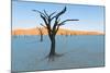 Dead trees in a desert, Dead Vlei, Sossusvlei, Namib Desert, Namib-Naukluft National Park, Namibia-null-Mounted Photographic Print