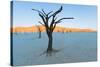 Dead trees in a desert, Dead Vlei, Sossusvlei, Namib Desert, Namib-Naukluft National Park, Namibia-null-Stretched Canvas