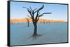 Dead trees in a desert, Dead Vlei, Sossusvlei, Namib Desert, Namib-Naukluft National Park, Namibia-null-Framed Stretched Canvas