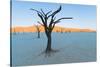 Dead trees in a desert, Dead Vlei, Sossusvlei, Namib Desert, Namib-Naukluft National Park, Namibia-null-Stretched Canvas
