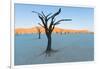 Dead trees in a desert, Dead Vlei, Sossusvlei, Namib Desert, Namib-Naukluft National Park, Namibia-null-Framed Photographic Print