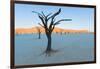 Dead trees in a desert, Dead Vlei, Sossusvlei, Namib Desert, Namib-Naukluft National Park, Namibia-null-Framed Photographic Print