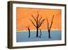 Dead trees in a desert, Dead Vlei, Sossusvlei, Namib Desert, Namib-Naukluft National Park, Namibia-null-Framed Photographic Print