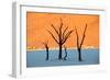 Dead trees in a desert, Dead Vlei, Sossusvlei, Namib Desert, Namib-Naukluft National Park, Namibia-null-Framed Photographic Print