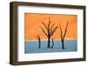 Dead trees in a desert, Dead Vlei, Sossusvlei, Namib Desert, Namib-Naukluft National Park, Namibia-null-Framed Photographic Print