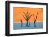 Dead trees in a desert, Dead Vlei, Sossusvlei, Namib Desert, Namib-Naukluft National Park, Namibia-null-Framed Photographic Print