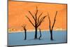 Dead trees in a desert, Dead Vlei, Sossusvlei, Namib Desert, Namib-Naukluft National Park, Namibia-null-Mounted Photographic Print