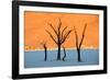 Dead trees in a desert, Dead Vlei, Sossusvlei, Namib Desert, Namib-Naukluft National Park, Namibia-null-Framed Photographic Print