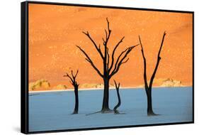 Dead trees in a desert, Dead Vlei, Sossusvlei, Namib Desert, Namib-Naukluft National Park, Namibia-null-Framed Stretched Canvas