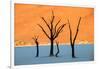 Dead trees in a desert, Dead Vlei, Sossusvlei, Namib Desert, Namib-Naukluft National Park, Namibia-null-Framed Photographic Print