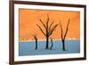 Dead trees in a desert, Dead Vlei, Sossusvlei, Namib Desert, Namib-Naukluft National Park, Namibia-null-Framed Photographic Print