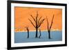 Dead trees in a desert, Dead Vlei, Sossusvlei, Namib Desert, Namib-Naukluft National Park, Namibia-null-Framed Photographic Print