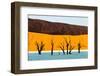 Dead trees in a desert, Dead Vlei, Sossusvlei, Namib Desert, Namib-Naukluft National Park, Namibia-null-Framed Photographic Print