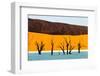 Dead trees in a desert, Dead Vlei, Sossusvlei, Namib Desert, Namib-Naukluft National Park, Namibia-null-Framed Photographic Print