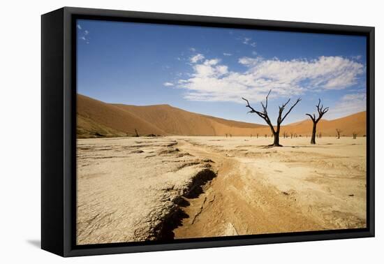 Dead Trees in Dead Vlei, Dead Trees with Red Dunes-null-Framed Stretched Canvas