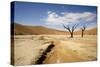 Dead Trees in Dead Vlei, Dead Trees with Red Dunes-null-Stretched Canvas