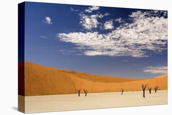 Dead Trees in Dead Vlei, Dead Trees with Red Dunes-null-Stretched Canvas