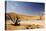 Dead Trees in Dead Vlei, Dead Trees with Red Dunes-null-Stretched Canvas