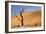 Dead Trees in Dead Vlei, Dead Trees with Red Dunes-null-Framed Photographic Print