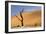 Dead Trees in Dead Vlei, Dead Trees with Red Dunes-null-Framed Photographic Print