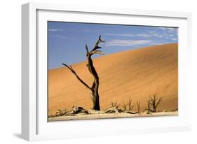 Dead Trees in Dead Vlei, Dead Trees with Red Dunes-null-Framed Photographic Print