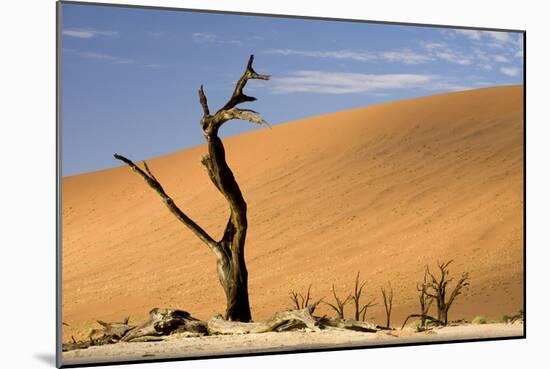 Dead Trees in Dead Vlei, Dead Trees with Red Dunes-null-Mounted Photographic Print