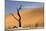 Dead Trees in Dead Vlei, Dead Trees with Red Dunes-null-Mounted Photographic Print