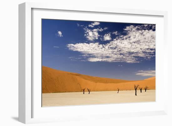 Dead Trees in Dead Vlei, Dead Trees with Red Dunes-null-Framed Photographic Print