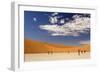 Dead Trees in Dead Vlei, Dead Trees with Red Dunes-null-Framed Photographic Print