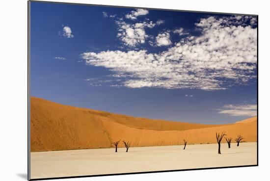 Dead Trees in Dead Vlei, Dead Trees with Red Dunes-null-Mounted Photographic Print