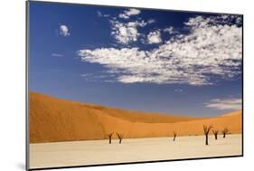 Dead Trees in Dead Vlei, Dead Trees with Red Dunes-null-Mounted Photographic Print