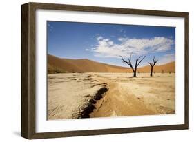 Dead Trees in Dead Vlei, Dead Trees with Red Dunes-null-Framed Photographic Print