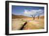 Dead Trees in Dead Vlei, Dead Trees with Red Dunes-null-Framed Photographic Print